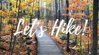 We Went Hiking!