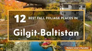 12 Best Autumn Foliage 🍁🍂🍁 Places in Gilgit-Baltistan - Nature Lover's Paradise [4K] Ultra HD