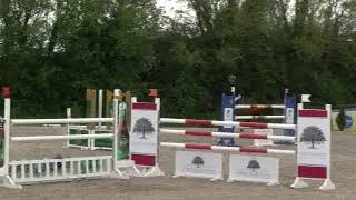 Jump Off 08 Darragh Ryan QUATRE SAISONS DWERSE HAGEN