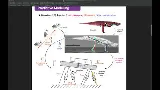 AMAM 2021 - Estimating gaits of an extinct crocodile-line archosaur - Poster Presentation