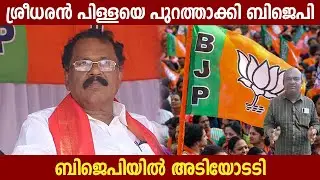 ശ്രീധരൻ പിള്ളയെ പുറത്താക്കി ബിജെപി | ബിജെപിയിൽ അടിയോടടി  P S Sreedharan Pillai BJP | Politics Kerala