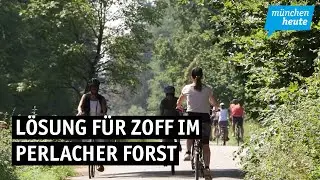 Anwohnerin bietet Lösung für Zoff im Perlacher Forst an