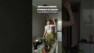 МОЯ ПЕРВАЯ СМЕНА В РЕВИЗИИ ч.2 | тг: почему konya_ | #влог #wb #vlog #обзор #обзорывб