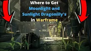 Where to get Sunlight and Moonlight Dragonlily's in Warframe