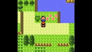 Pokemon Gold - Delivering mail