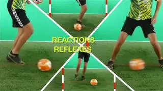 6. How do you Training Reactions and Reflexes at high Speed with your Reaction Device? #ONE2TRAIN&trade;