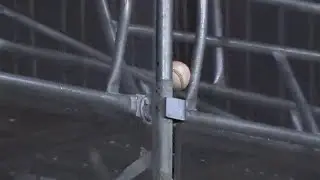 Longest home run by a 12-year-old in history? Colin Anderson