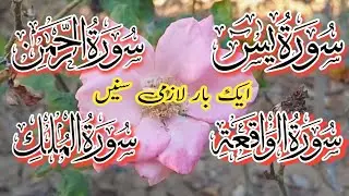 Surah (Yasin, Rahman, Waqiha, Mulk) Full | سورہ (یٰس،رحمٰن،واقعہ،ملک) مکمل تلاوت | Quran Tilawat |
