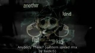 RedkiS:::another kind (remixes & friends):::FULL ALBUM animation