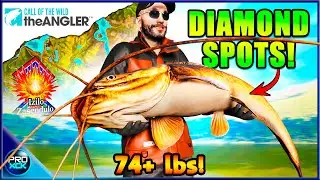 How to Catch DIAMOND Sharptooth Catfish! South Africa Hotspot Guide - Call of the Wild theAngler