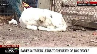 Rabies outbreak in Eastern Cape leaves two dead