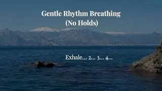 Gentle Rhythm Breathing (No Holds) | Silent Calm Breathing for Anxiety