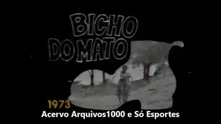 Chamada de estreia da novela Bicho do Mato com som sem distor&ccedil;&otilde;es - Rede Globo - 1972