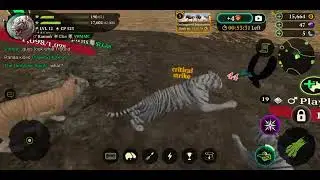 The Tiger Online Simulator: Mighty Jungle