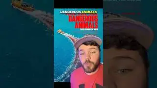 &laquo;Опасные животные&raquo; &mdash; это ВЕСЕЛО | Обзор фильма