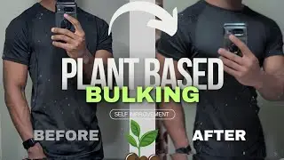 Plant-Based Bulking Guide (Including 1k+ Calorie Protein shake)