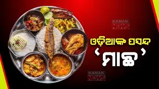 Odisha Ranks Third In Weekly Fish Consumption, According To World Fish Report | Know The Details