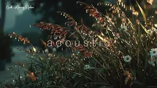 Soft Acoustic Guitar Music - Calm Nature Sounds for Stress Relief & Chill