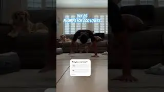 Doing pushups for the dog lovers #pushupchallenge #motivation #positivevibes #doglife