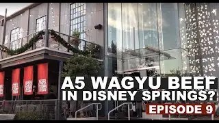 A5 WAGYU BEEF IN DISNEY SPRINGS | The Lost Ones Travel Vlog