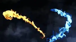 Eagle Intro
