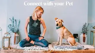 CONNECT WITH YOUR PET MEDITATION 🐶🪽✨