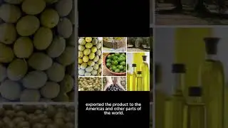 Olives in Europe