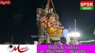 నెల్లూరులో 36డివిజన్ శాంతినగర్  గల్లీ భాయ్స్ మిత్ర మండలి వారి నిమజ్జనా కార్యక్రమం||SperNews||