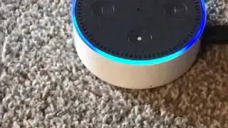 My Alexa self destruct how to make it !!