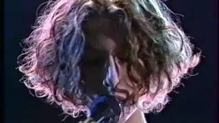 LAUREN HOFFMAN - Rock Star