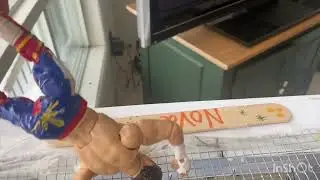 Promo for the hampster cage match