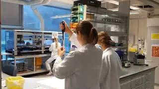 Medisinsk biokjemi og farmakologi