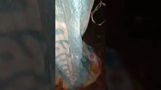 #music #punk #edit #snake #video #cobra #shortsvideo #shorts #share #new #viralshorts #viralvideos