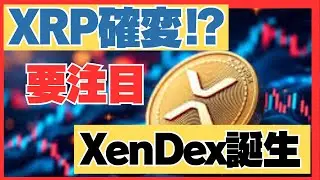 XenDex上陸でXRPが爆上げ!? 知らなきゃ損する最新トレンドとは