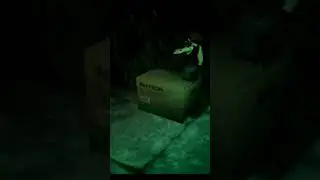 CARDBOARD BOX WOLF TRICK IN METAL GEAR SOLID #metalgearsolid