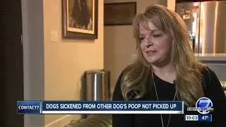 Highlands Ranch woman blames negligent dog owners for $4,000 vet bill
