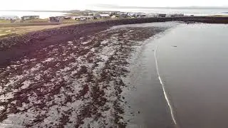 Helguv&iacute;k &Aacute;lftanesi