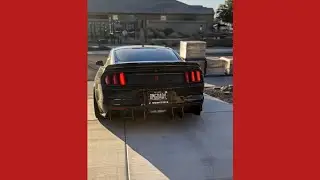 CAMMED MUSTANG GT #shorts