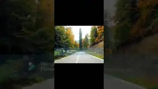Relaxing music that heals stress, anxiety and depressive conditions, heals, gentle music