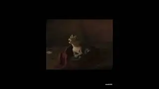 la-la-lala-la, Lyle Lyle crocodile meme | smashzilla memes 190 #memes