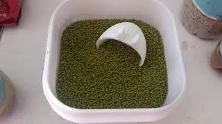 Alimentação que uso prós Tarins