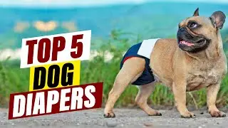 Dog Diapers: A Complete Guide for Pet Owners