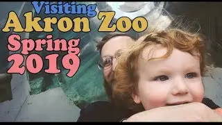 Visiting the Akron Zoo | April 2019