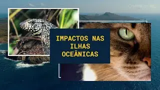 Conhe&ccedil;a os Impactos em Ilhas Oce&acirc;nicas