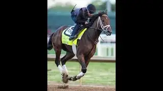 Kentucky Derby Horse by Horse Preview and Winning Picks