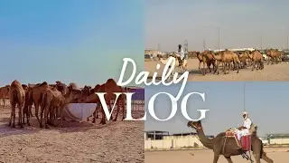 🐪 Exploring a Camel Farm in Hafar Al Batin | Sanayaa Vlog.  ഹഫർ അൽ ബാതിനിലെ ഒട്ടക ഫാം അനുഭവം