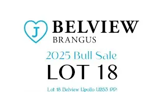Lot 18 Belview Upollo U253 (PP)