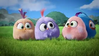 Angry Birds 2, bamboo forest (foggy field) round №238 (03.11.2023)