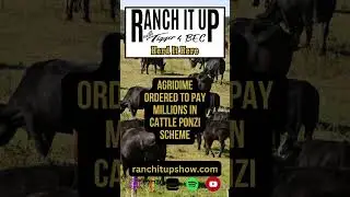 Agridime Ordered To Pay Millions In Cattle Ponzi Scheme