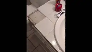 Frog Perspective